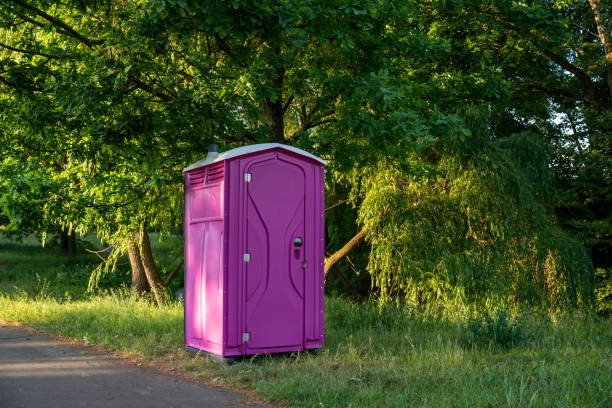 Best Sanitation services for porta potties  in Wadsworth, IL